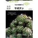 多肉植物 サボテン（NHK出版） [電子書籍]