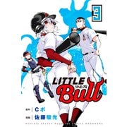 リトル・ブル（3）（講談社） [電子書籍]
