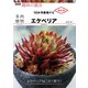 多肉植物 エケべリア（NHK出版） [電子書籍]