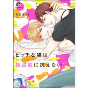 ビッチな猫は好奇心に勝てない（分冊版） 【第10話】（海王社） [電子書籍]