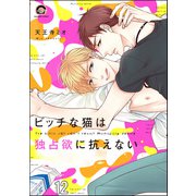 ビッチな猫は好奇心に勝てない（分冊版） 【第12話】（海王社） [電子書籍]