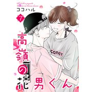 高嶺の花男くん【合冊版】7（Colorful！） [電子書籍]