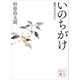 いのちがけ 加賀百万石の礎（講談社） [電子書籍]