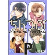 ちんつぶP（海王社） [電子書籍]