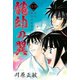 龍帥の翼 史記・留侯世家異伝（19）（講談社） [電子書籍]