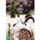 浮浪雲（はぐれぐも） 64（小学館） [電子書籍]
