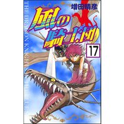 風の騎士団（分冊版） 【第17話】（ぶんか社） [電子書籍]