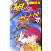 風の騎士団（分冊版） 【第20話】（ぶんか社） [電子書籍]