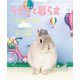 うさぎと暮らす No.72（うさぎと暮らす） [電子書籍]