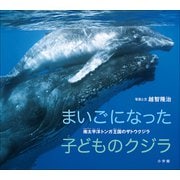 まいごになった子どものクジラ ～南太平洋トンガ王国のザトウクジラ～（小学館の図鑑NEOの科学絵本）（小学館） [電子書籍]
