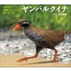 ヤンバルクイナ ～世界中で沖縄にしかいない飛べない鳥～（小学館の図鑑NEOの科学絵本）（小学館） [電子書籍]