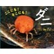 ここにも！ そこにも！ ダニ（ポプラ社） [電子書籍]