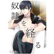 奴隷を経る3（メディアチューンズ） [電子書籍]