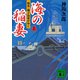 海の稲妻（上） 根来・種子島衆がゆく（講談社） [電子書籍]
