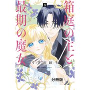 箱庭の主と最期の魔女 分冊版（8）（講談社） [電子書籍]