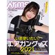 月刊アームズマガジン2021年8月号（ホビージャパン） [電子書籍]