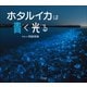 ホタルイカは青く光る（小学館の図鑑NEOの科学絵本）（小学館） [電子書籍]