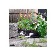 そとねこ VOL.01（PAD） [電子書籍]