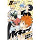 ハイキュー！！ ショーセツバン！！ IV それぞれの夏休み（集英社） [電子書籍]
