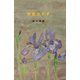 妙齢失わず（講談社） [電子書籍]