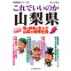 これでいいのか山梨県（マイクロマガジン社） [電子書籍]