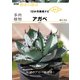 多肉植物 アガベ（NHK出版） [電子書籍]