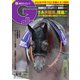 週刊Gallop（ギャロップ） 2021年9月12日号（サンケイスポーツ） [電子書籍]