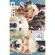 アントロポセンの犬泥棒（リイド社） [電子書籍]