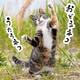 おどるネコうたうネコ（KADOKAWA） [電子書籍]