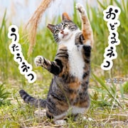 おどるネコうたうネコ（KADOKAWA） [電子書籍]