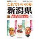 これでいいのか新潟県（マイクロマガジン社） [電子書籍]