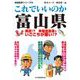 これでいいのか富山県（マイクロマガジン社） [電子書籍]