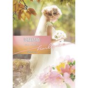 試験結婚【ハーレクイン文庫版】（ハーレクイン） [電子書籍]
