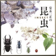安永一正の昆虫（フレーベル館） [電子書籍]