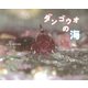 ダンゴウオの海（フレーベル館） [電子書籍]