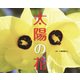 太陽の花（フレーベル館） [電子書籍]