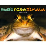 たんぼのカエルのだいへんしん（ポプラ社） [電子書籍]