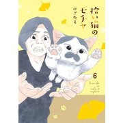 拾い猫のモチャ6（KADOKAWA） [電子書籍]