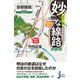 妙な線路大研究 首都圏篇（実業之日本社） [電子書籍]