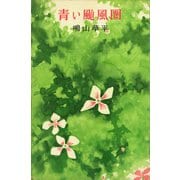 青い颱風圏（講談社） [電子書籍]