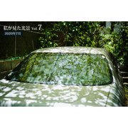 私が見た光景 vol.7 2020年7月（バズブッカ） [電子書籍]