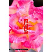 古都さんぽ4 ～写真家 茶谷明宏がゆく～（バズブッカ） [電子書籍]