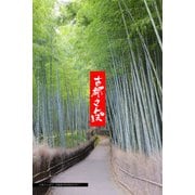 古都さんぽ13 ～写真家 茶谷明宏がゆく～ 撮影協力・嵐山コーディネーター：SUGANOSAWARA（バズブッカ） [電子書籍]