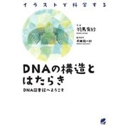 DNAの構造とはたらき ： DNA図書館へようこそ イラストで科学する（ベレ出版） [電子書籍]