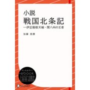 小説 戦国北条記―伊豆箱根天嶮・関八州の王者（ディスカヴァー・トゥエンティワン） [電子書籍]