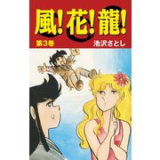 風！花！龍！（3）（ナンバーナイン） [電子書籍]