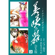 美咲の器 DX版3（ナンバーナイン） [電子書籍]