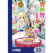 なんちゃってシンデレラ 王宮陰謀編 異世界で、王太子妃はじめました。【分冊版】 23（KADOKAWA） [電子書籍]