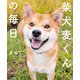 柴犬麦くんの毎日（KADOKAWA） [電子書籍]