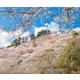 日本の美しい里と花の絶景（パイ インターナショナル） [電子書籍]